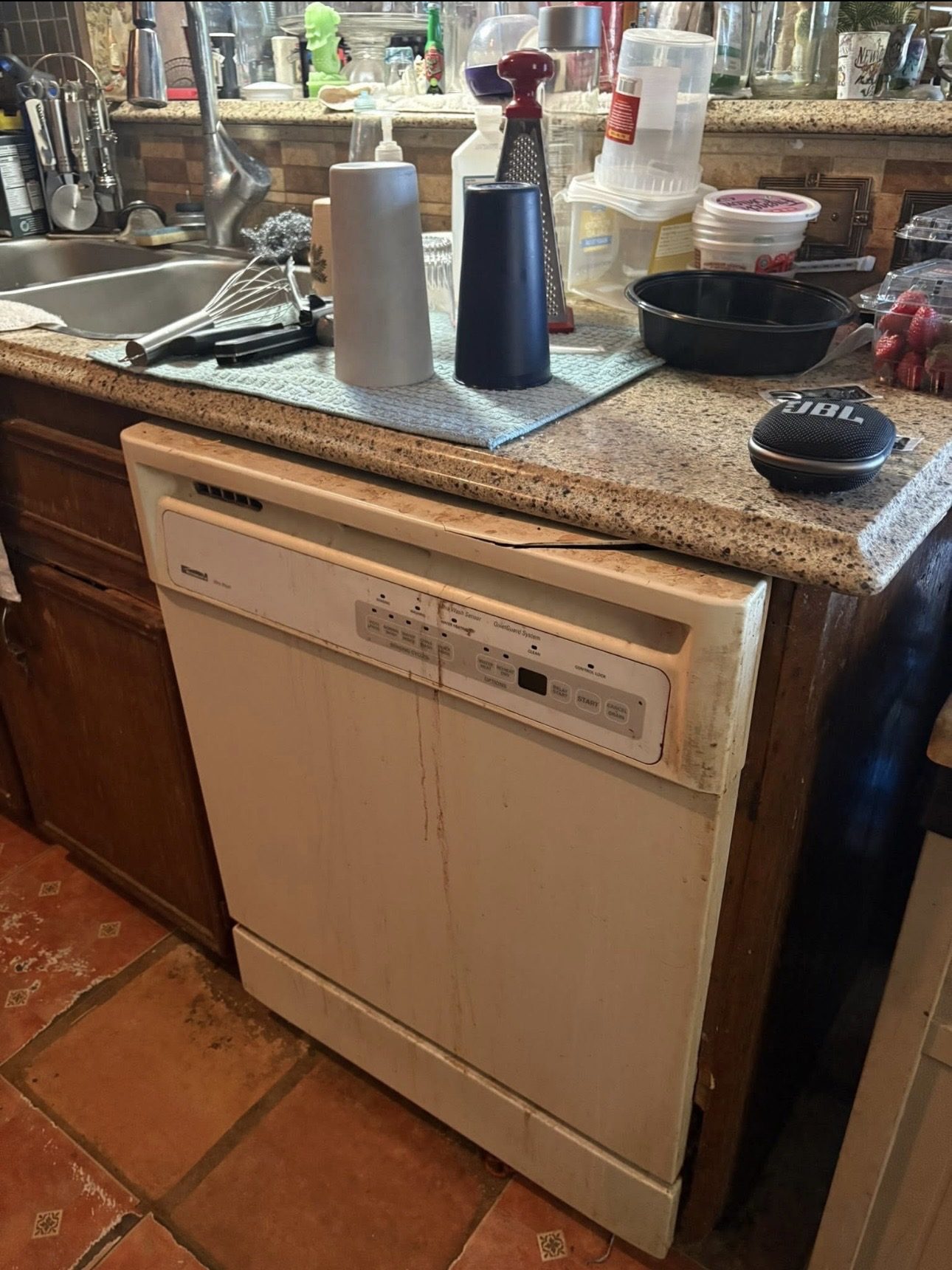Dishwasher before cleaning, stained exterior