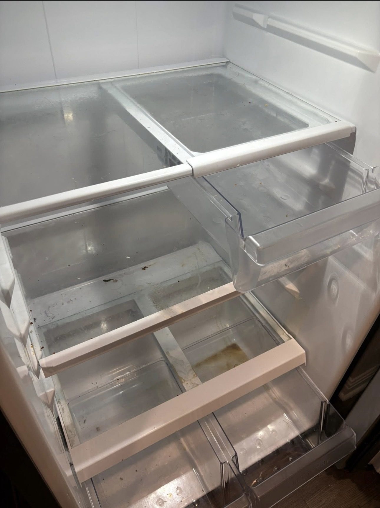 Refrigerator interior before cleaning, crumbs in drawers