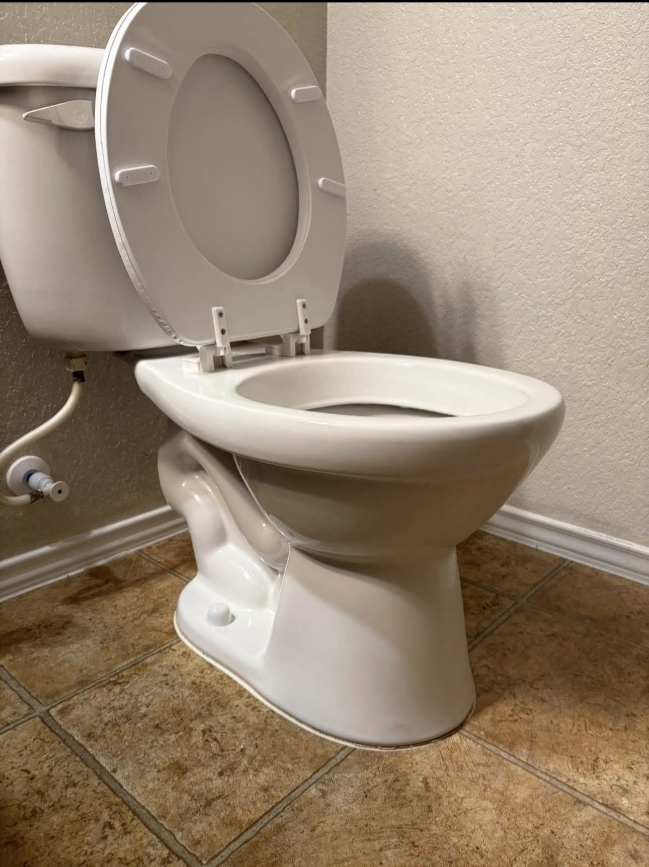 Toilet after deep cleaning, spotless white