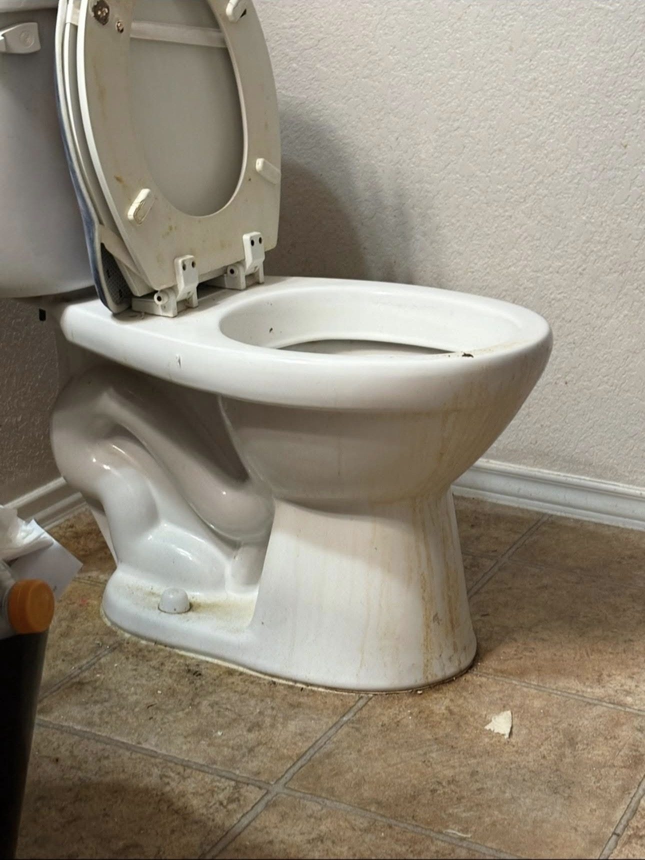 Toilet before deep cleaning